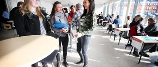 Praktikmässan: 30 procent har fått jobb