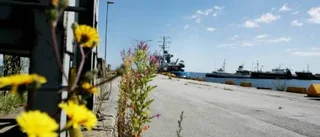 Gas och hamn delar slitebor i två läger