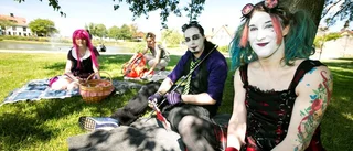 Cosplay-karaktärer intog Almedalen