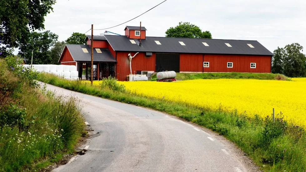 Bondgård.