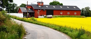 Så ska regionen hindra bråk mellan grannar