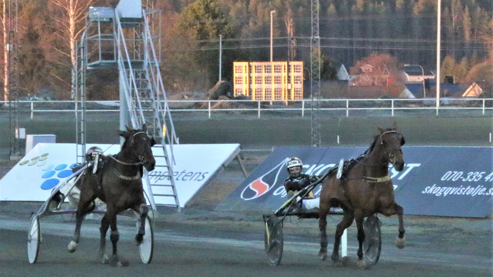Swagger (Sandra Eriksson) invändigt och Hector Sisu (Mika Forss) bjöd på en härlig duell under slutrundan i V5-5. Swagger bet ifrån sig i ledningen, men Hector Sisu föll med flaggan i topp.