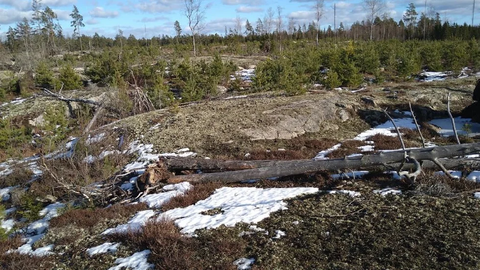I bolaget Holmens samrådsdokument fanns denna bild på marken där tre miljoner ton sten kan komma att brytas i 25 år.