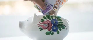 Med ISK vill (S) lära oss att bli hjälplösa