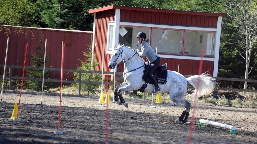 Idamarie Johansson är svensk mästare med Hoxi i working equitation. En av de snabbast växande disciplinerna i ridsport.