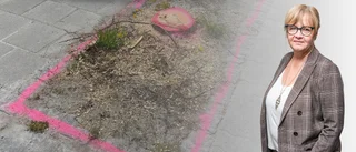 "När varje liten lav eller larv ska skyddas verkar det konstigt att ett så här stort ingrepp kan vara tillåtet"