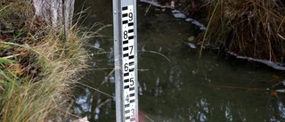 Stort uppror för Tingstäde träsks framtid