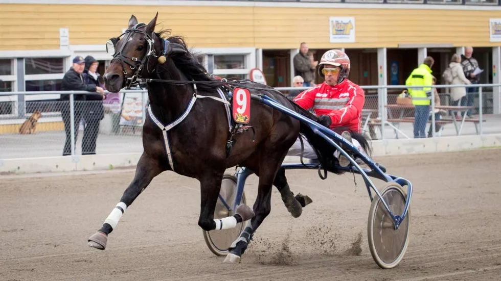 Rubrikernas man. Anders Funck var med om en olycka men vann också lopp. Här med Marjons Julle.
Citatförslag: ”Man måste bara gilla den här killen”, Neng Wanlayaphol om Rivancer.