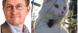 Därför lämnar han kommunpolitiken – efter 21 år • "Katten dog"