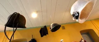 Fantasifullt stilbrott på Langska