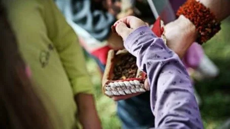 Krumelur. Flera av barnen på Pippi-vandringen tog det hemliga pillret. Men ett par av dem ville "bliva stur".