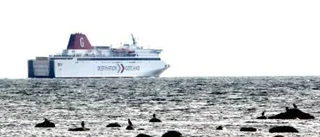 "Ölandstrafiken finns med i turlistan"