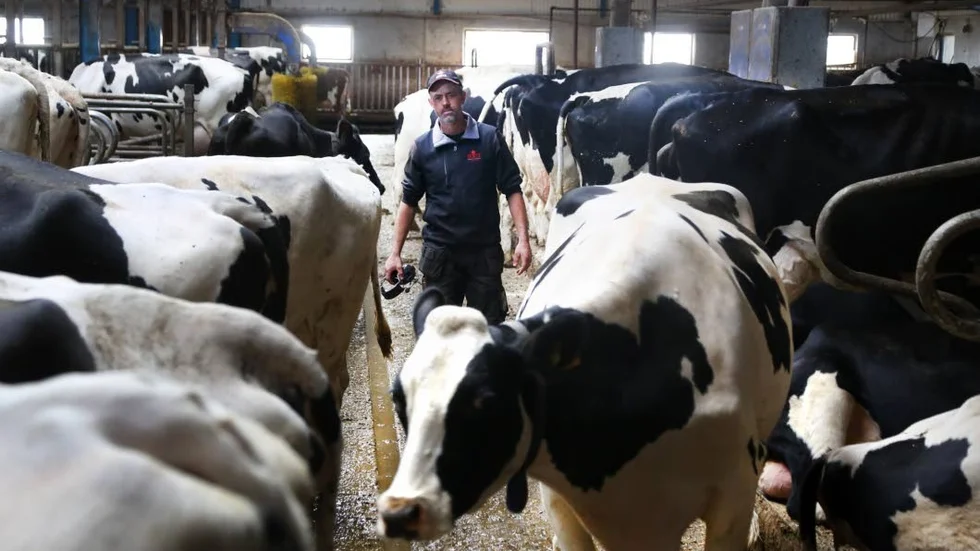 Mjölkproduktion. Fredrik Åkerblom har 200 kor på sin gård i Stenkumla. Totalt producerar de omkring 2 miljoner kilo mjölk per år.