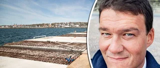 Han blir chef för nya kryssningsterminalen