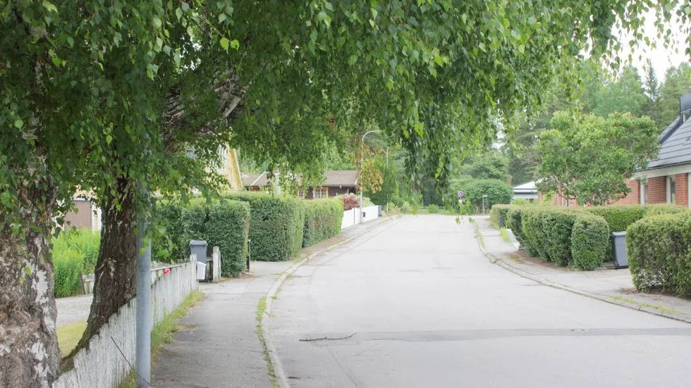 Växtligheten får inte växa ut över vägbanan och hindra framkommligheten.