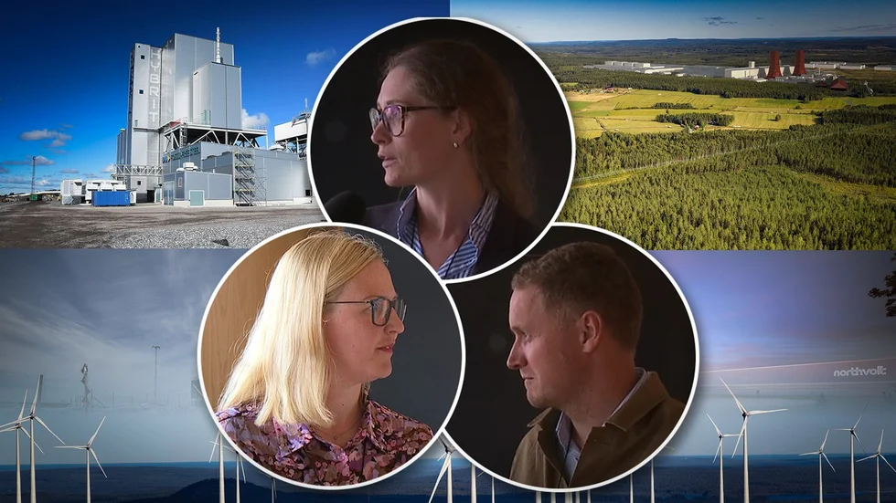 Hör tre röster från gröna konferensen i Luleå. (Bildmontage)