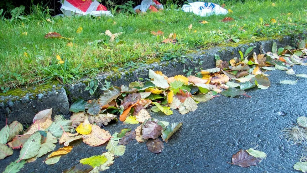 I dag, på Håll Sverige Rent-dagen, kommer människor över hela Sverige ge sig ut och plocka skräp.