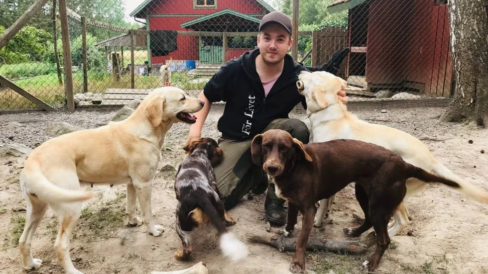 Tomas Svarvare med några av gårdens alla jakthundar. Själv äger han två, en labrador och en wachtel och resten är mamma Mettes.