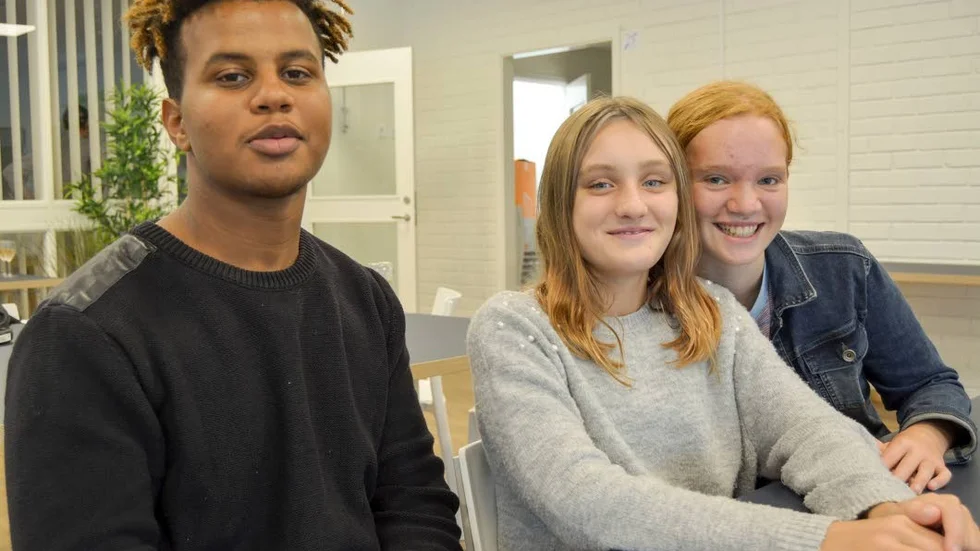 Vegetarisk färs går precis lika bra med tacokryddor, tycker Ifrata Mokonen, Hillevi Brolin Näslund och Ida Lund.