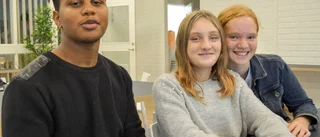 Klimatfilmer ska stoppa matsvinnet