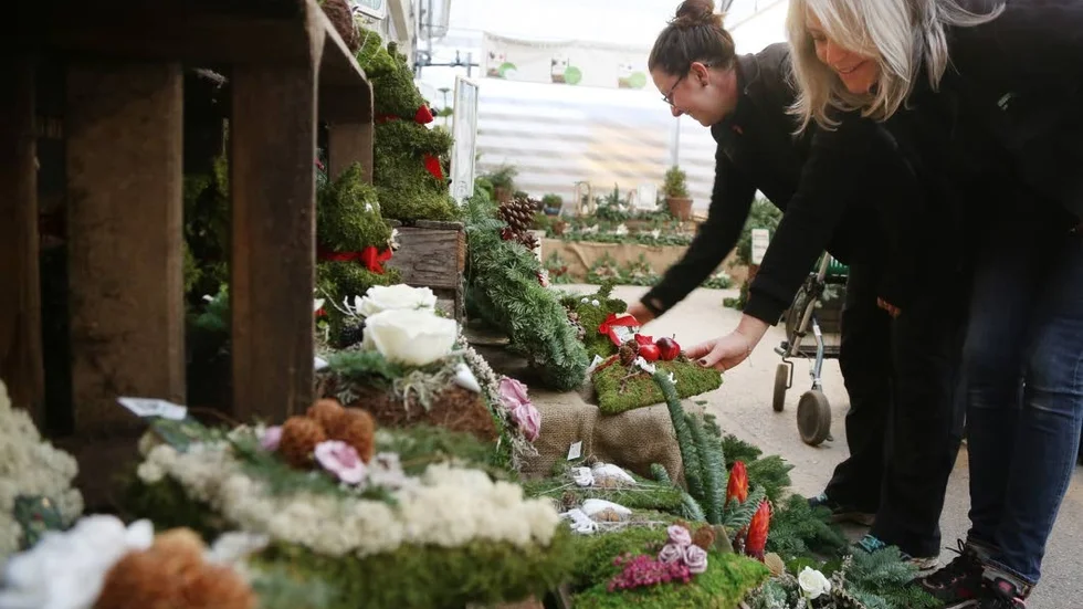 Variation. Johanna Stenström och Marie Forsberg på Växthuset Linds.