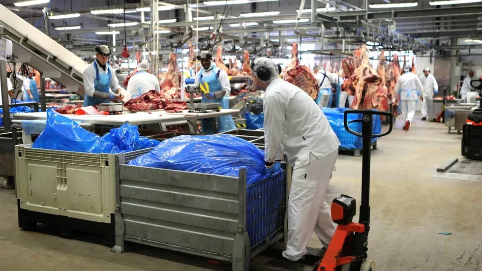 Växer. Slakteriet växer och har nu omkring 200 anställda. Nu finns hela produktionskedjan från slakt till paketering i Visby.