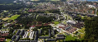 "Det kommer aldrig bli några bostadsrätter"