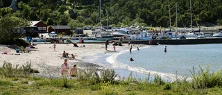 Här råder maxpuls och lugn