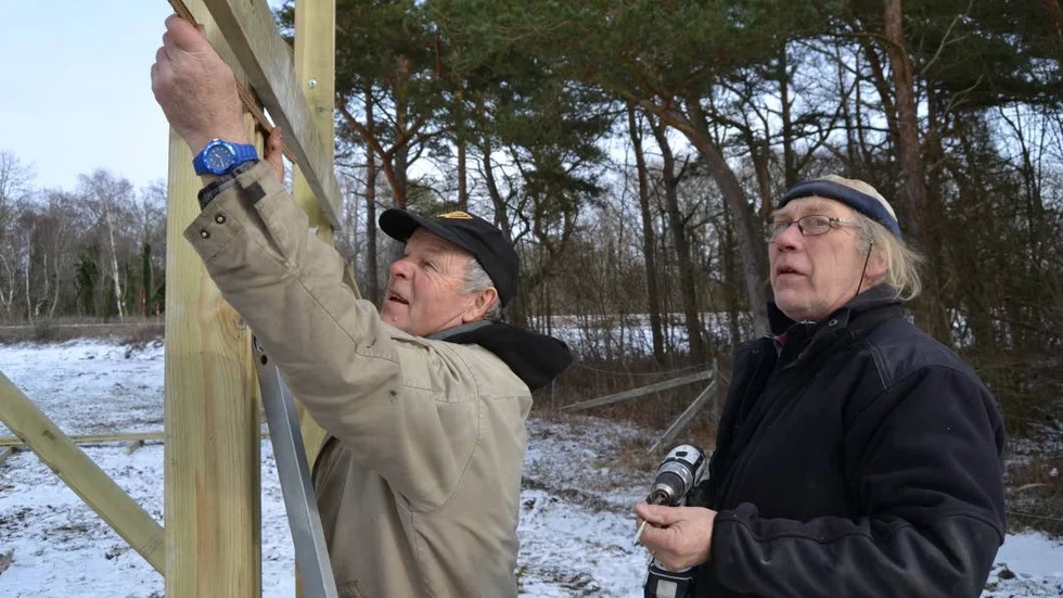 Planering. Erik Larsson och Wesley Koivumäki under upp­förandet av fågeltornet i Fide.