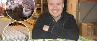 Påsken kan bli äggstra dyr – höga prisökningar att vänta: "Man få ta var dag som den kommer"