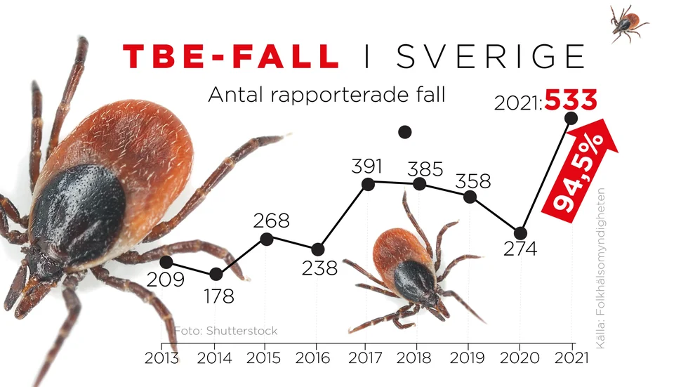 Kurva som visar rapporterade TBE-fall från 2013-2021. Kraftigt ökat antal fall 2021.