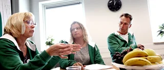 Nytt borgerligt samarbete: "Det behövs krafttag framåt!"