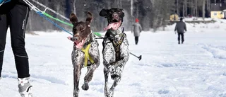 Klart: Mer drag på Ormberget
