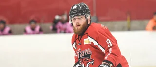 Så ska Luleåklubben nå hockeyettan