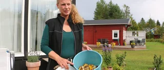Kravlöst i Slammermora