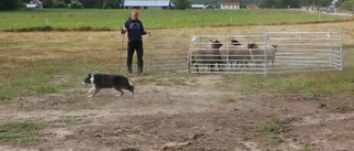Öppen gårdsdag i öppna landskap