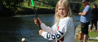 Fisken släppte för Leehall