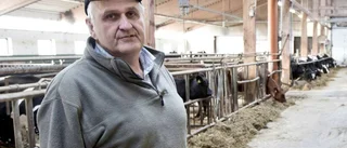 Mjölkpriset slår hårt mot bönderna i norr