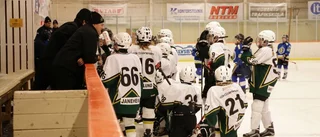Glädje och hockey