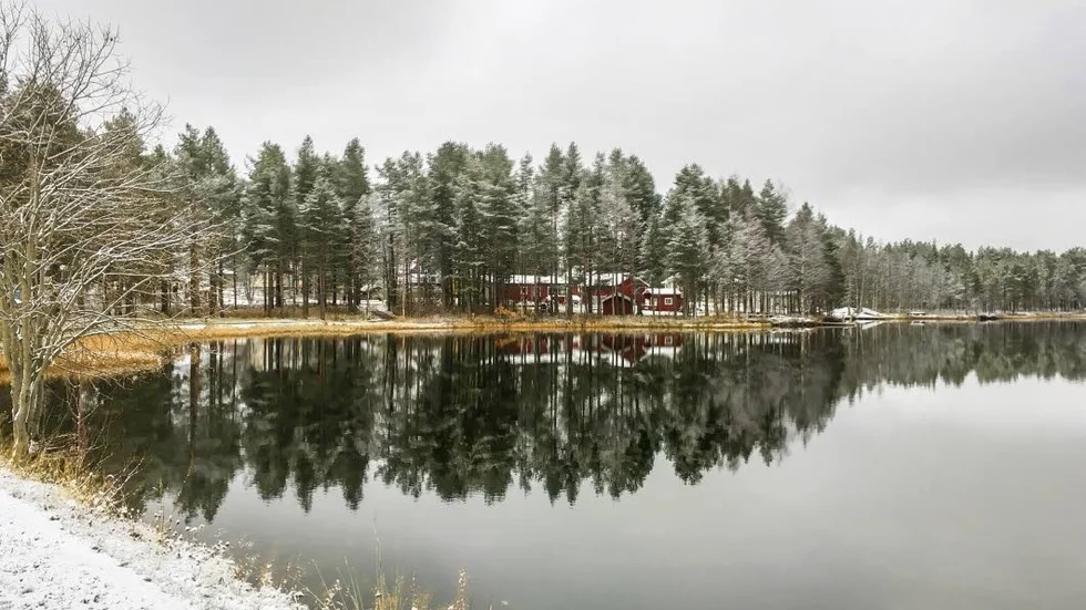 Vatten. Nästan jobbigt ljust. Kommunens älgar klär fint i snö.