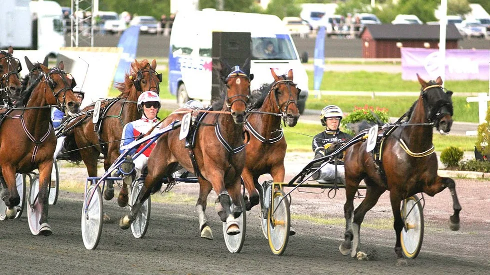 VANN. Roger Nilsson och Sandra Eriksson vann ett lopp vardera och hjälpte en spelare att dra in 3,8 miljoner kronor.
