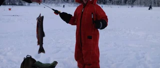 Lyckad premiär för Lisella
