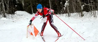 SM-silver till Nordlund