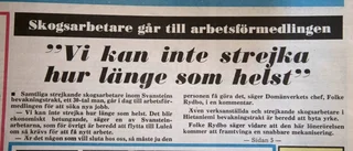 Den stora skogstrejken gav resultat