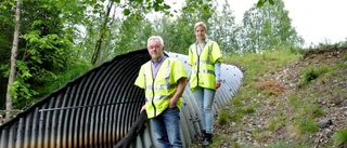 Arvidsjaursvägen stängs av för brobyte