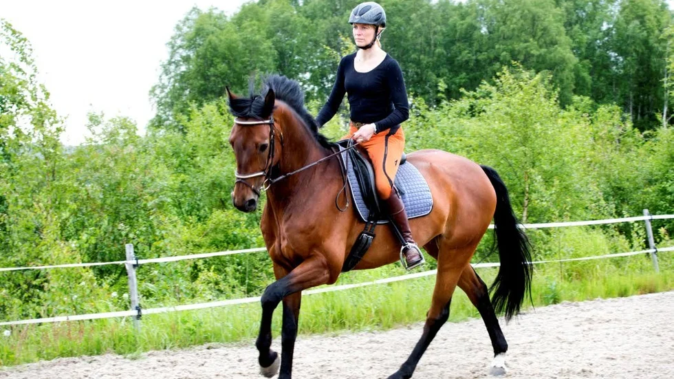 ”Vi ska passa på att njuta av tiden i rampljuset”, ­säger
Linda Marklund.?FOTO: Erik Westergren