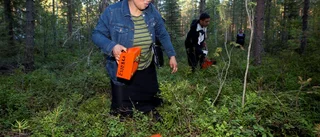 Bärplockning ett alternativ till tiggeri