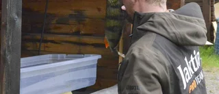 Succé för Racksunds fiskefestival