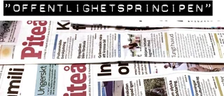 Offentlighetsprincipen under luppen