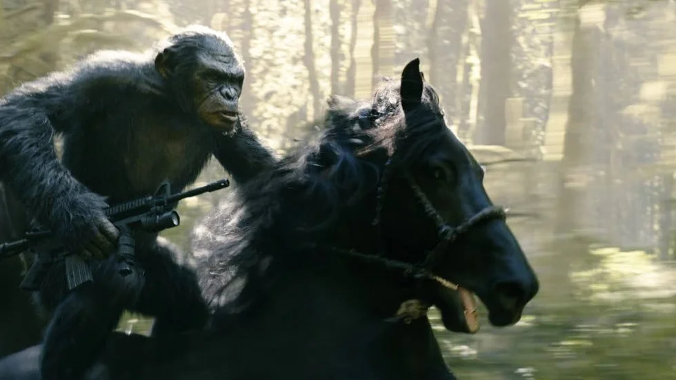 Del två. I den nyväckta "Apornas planet"-trilogin behöver ingen apälskare bli besviken. Visuell storslagenhet möter ett intelligent manus i en av sommarens bättre storfilmer.
Foto: 20th Century Fox